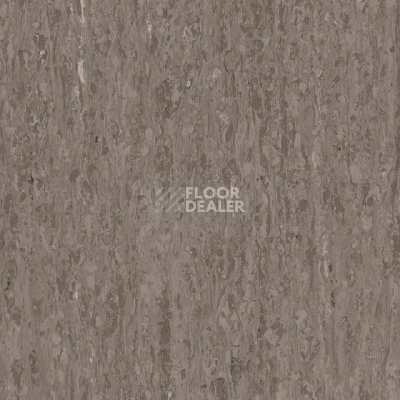 Линолеум Tarkett iq Optima Light brown 0249 фото 1 | FLOORDEALER